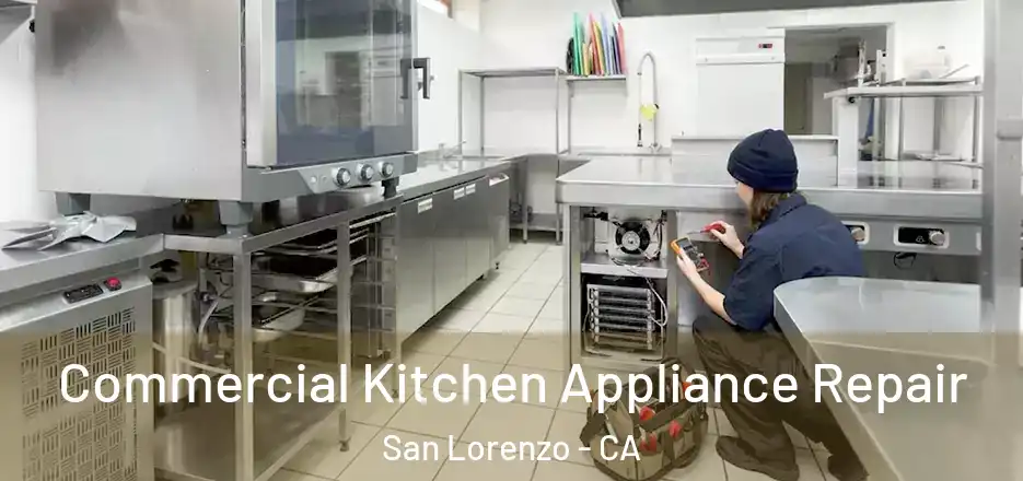 Commercial Kitchen Appliance Repair San Lorenzo - CA