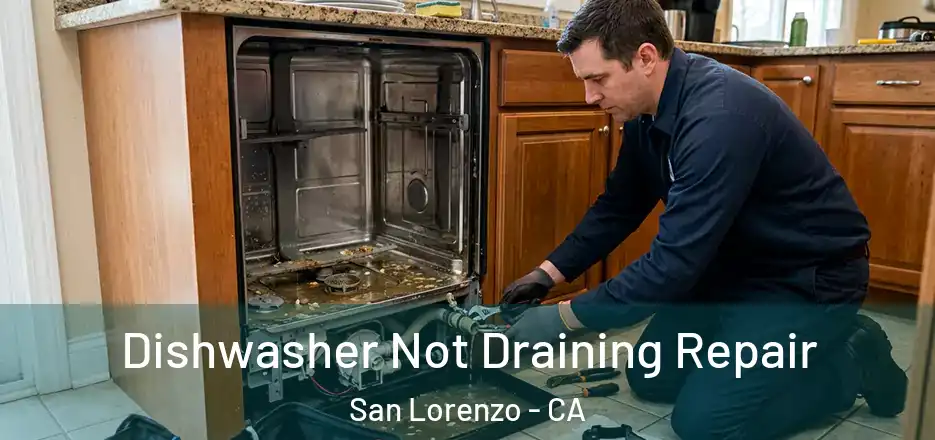 Dishwasher Not Draining Repair San Lorenzo - CA