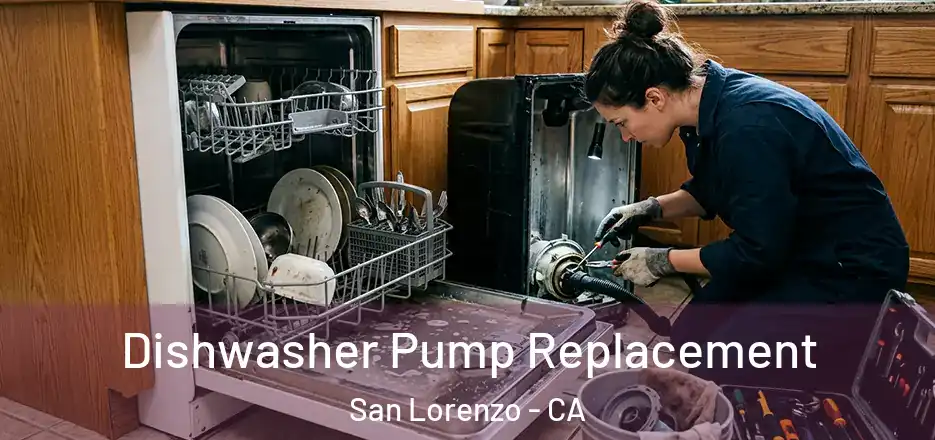  Dishwasher Pump Replacement San Lorenzo - CA