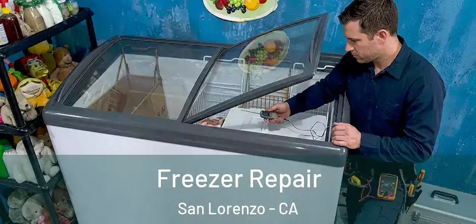 Freezer Repair San Lorenzo - CA