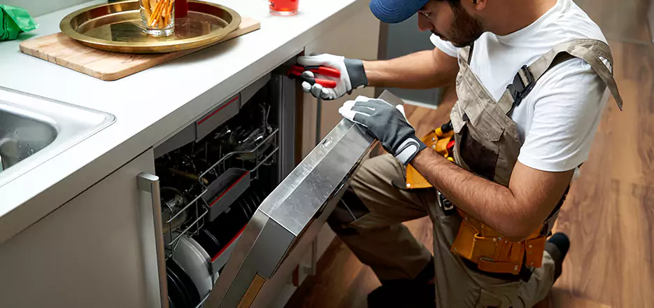 Same Day Dishwasher Not Draining Repair in San Lorenzo