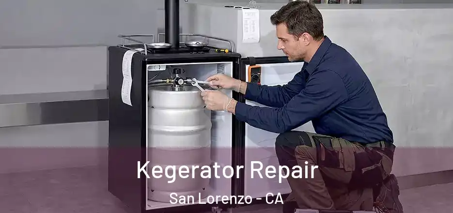 Kegerator Repair San Lorenzo - CA