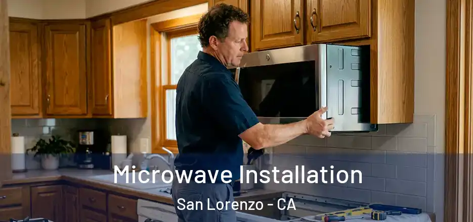  Microwave Installation San Lorenzo - CA