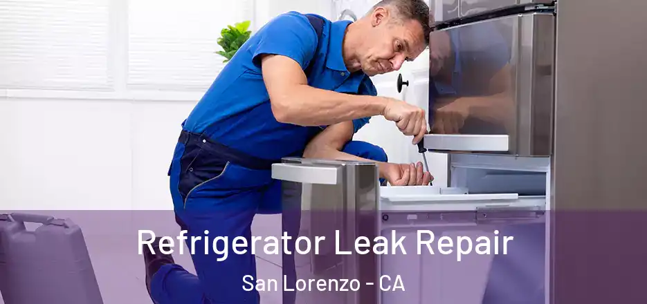 Refrigerator Leak Repair San Lorenzo - CA