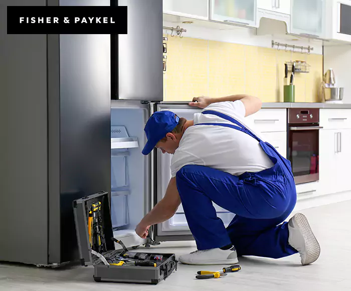 Top-Rated Fisher & Paykel Appliance Experts: Your Brand Specialist in San Lorenzo, CA